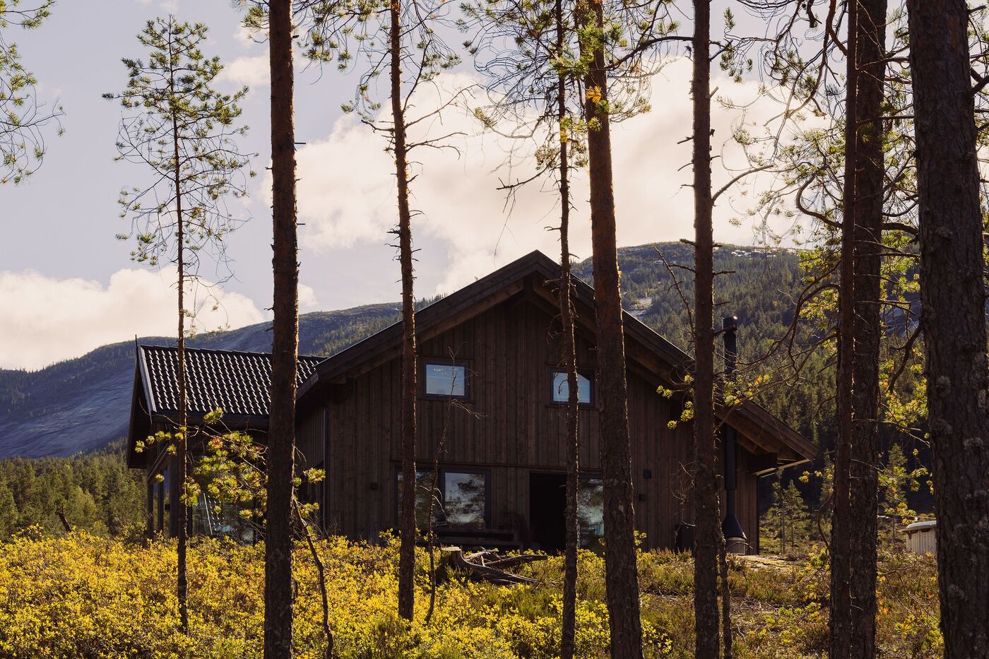 Huis in het bos